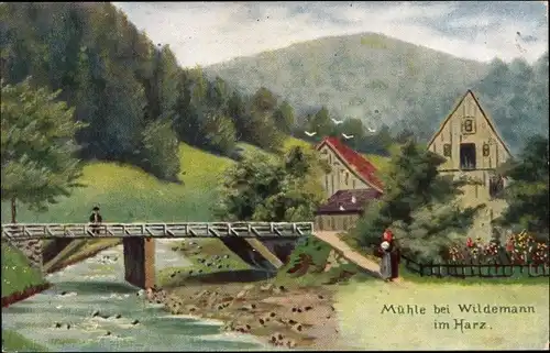 Ak Wildemann Clausthal Zellerfeld im Oberharz, Mühle, Ortspartie, Brücke, Fluss, Häuser