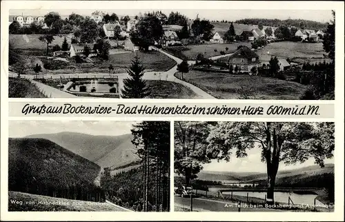 Ak Hahnenklee Bockswiese Goslar im Harz, Gesamtansicht, Teich, Bocksberg