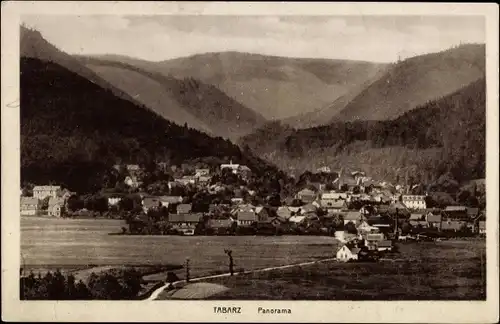 Ak Tabarz im Thüringer Wald, Blick zum Ort, Panorama