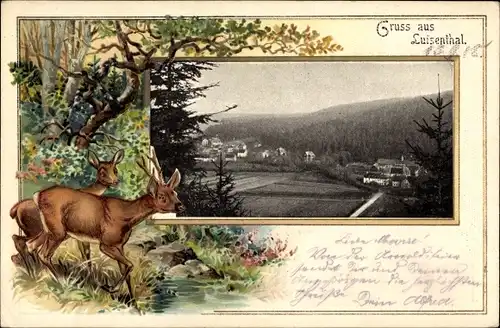 Passepartout Ak Luisenthal im Thüringer Wald, Teilansicht, Rehe im Wald