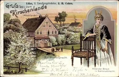 Litho Jork in Niedersachsen, Kirschenland, Fährhaus Lühe, Blütenpracht