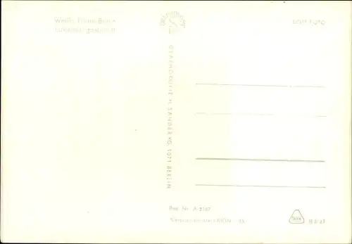 Ak Berlin, Luxusfahrgastschiff der Weißen Flotte