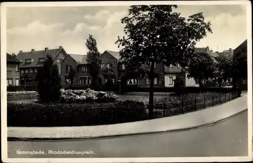 Ak Heemstede Nordholland Niederlande, Rhododendronplein