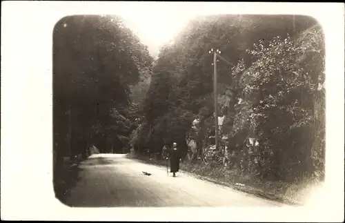 Foto Ak Goslar am Harz, Straße, Frau mit Gehstock, Spaziergang, Wald