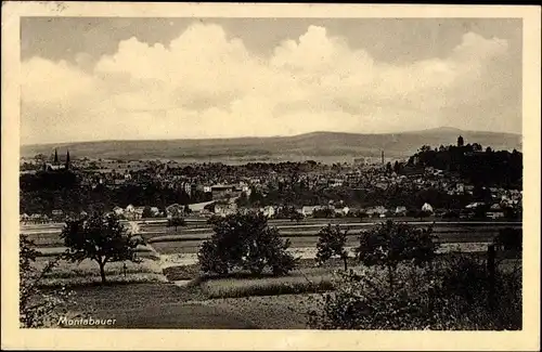 Ak Montabaur im Westerwald, Panorama