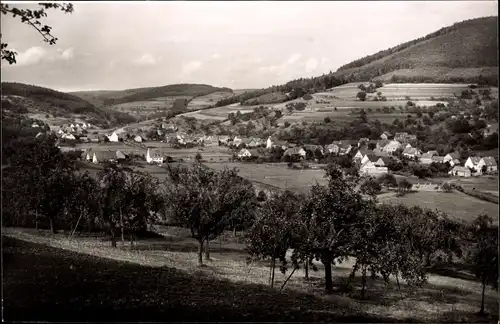 Ak Hobbach Eschau im Spessart, Panorama