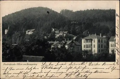 Ak Friedrichroda im Thüringer Wald, Villen am Herzogsweg