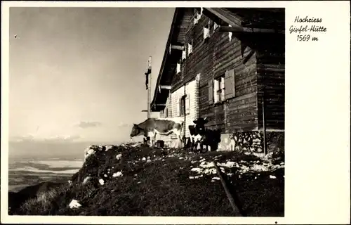 Ak Törwang Samerberg in Oberbayern, Hochriess Gipfel Hütte, Kühe