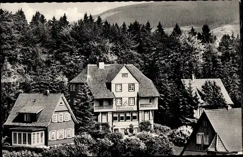 Ak Braunlage im Oberharz, Haus Am Waldeshang