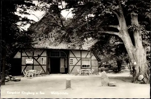 Ak Klingberg Scharbeutz in Ostholstein, Waldschänke