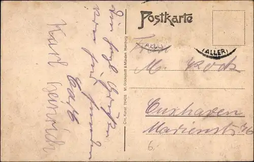 Ak Verden an der Aller, Dom