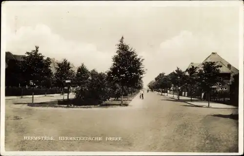 Ak Heemstede Nordholland Niederlande, Hermsteedsche Dreef