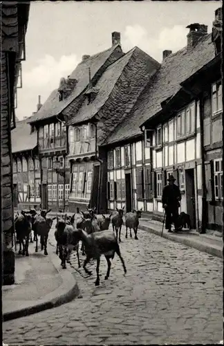 Ak Goslar am Harz, Peterstraße, Ziegenhirte