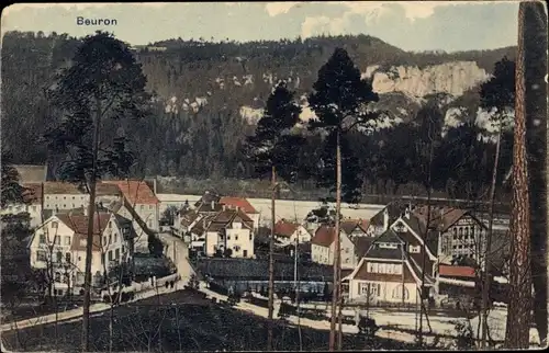 Ak Beuron an der Donau Württemberg, Teilansicht des Ortes