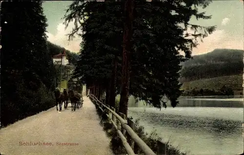 Ak Schluchsee im Schwarzwald, Seestraße