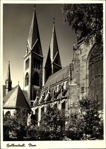 Ak Halberstadt am Harz, Dom