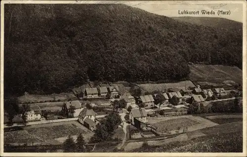 Ak Wieda Walkenried Harz, Ort im Tal, Wald