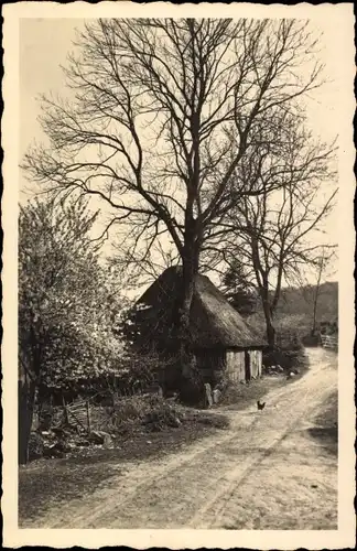 Foto Ak Hansestadt Kiel, Partie am Stadtrand, Hütte, Straße