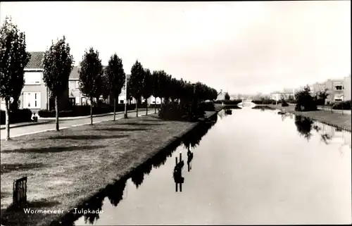 Ak Wormerveer Nordholland Niederlande, Tulpkade