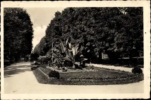 Ak Olomouc Olmütz Stadt, Stadtpark