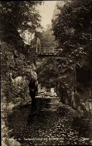 Ak Thale am Harz, Teufelsbrücke am Bodekessel, Fluss