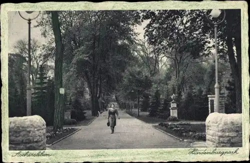 Ak Aschersleben im Salzlandkreis, Hindenburgpark