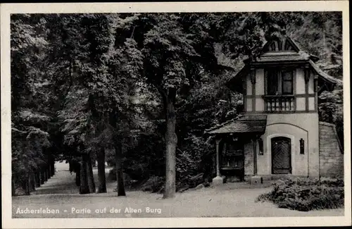 Ak Aschersleben im Salzlandkreis, Partie auf der Alten Burg