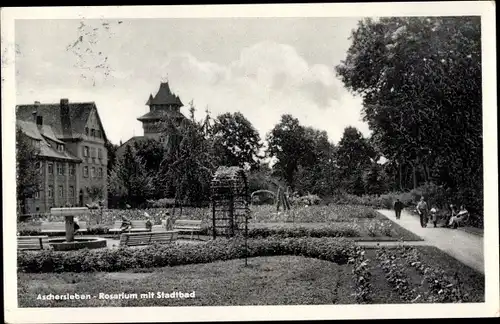 Ak Aschersleben im Salzlandkreis, Rosarium, Stadtbad