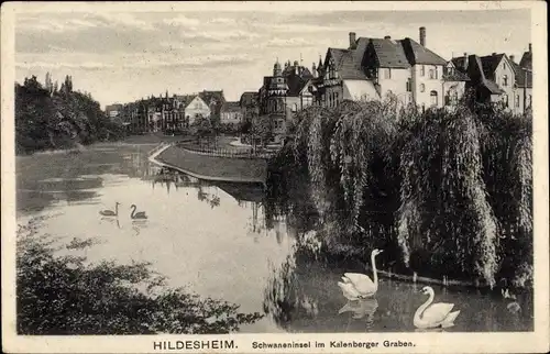 Ak Hildesheim in Niedersachsen, Schwaneninsel im Kalenberger Graben