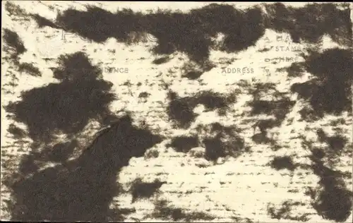 Foto Ak San Blas Archipel Panama, Carti Island