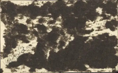 Ak Macuto Venezuela, Teilansichten, Küste