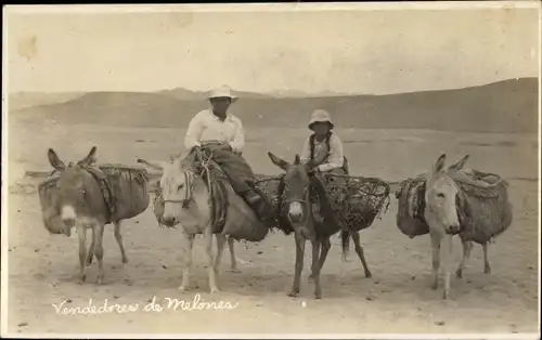 Foto Ak Südamerika, Vendedores de Melones, Melonenverkäufer, Esel