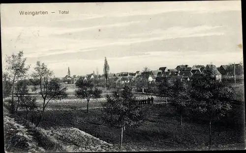 Ak Weingarten in der Pfalz, Blick auf den Ort