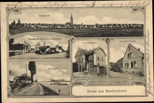 Ak Sondernheim Germersheim am Rhein, Totalansicht, Straßenpartie, Schwesternhaus, Forsthaus,Geschäft