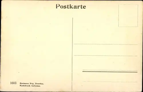 Ak Karlovy Vary Karlsbad Stadt, Panorama von der Franz Josefs Höhe