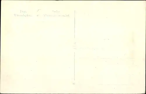 Ak Praha Prag Tschechien, Václavské náměstí, Wenzelsplatz, Straßenbahnen
