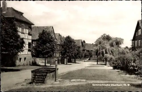 Ak Oberhain Königsee in Thüringen, Ortspartie, Sommerfrische