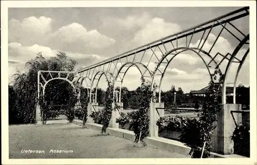 Ak Uetersen in Holstein, Im Rosarium