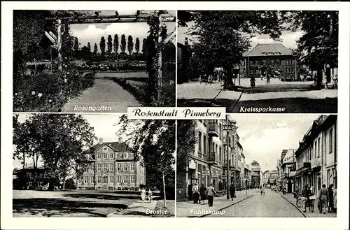 Ak Pinneberg in Holstein, Rosengarten, Kreissparkasse, Drostei, Fahltskamp