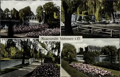 Ak Uetersen in Holstein, Im Rosarium