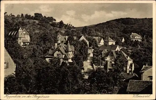 Ak Heppenheim an der Bergstraße, Vilenviertel