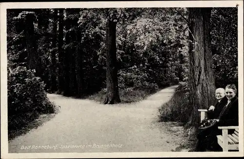 Ak Ronneburg in Thüringen, Spazierweg im Brunnenholz