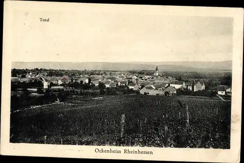 Ak Ockenheim in Rheinhessen, Totalansicht der Ortschaft