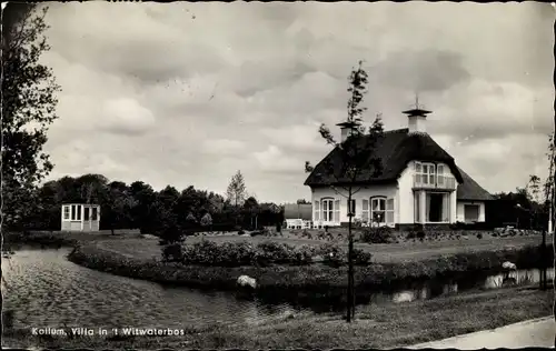 Ak Kollum Kollumerland en Nieuwkruisland Friesland, Villa in´t Witwaterbos