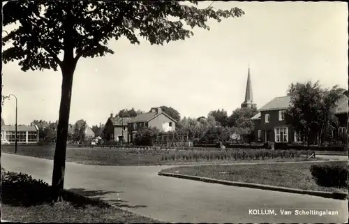 Ak Kollum Kollumerland en Nieuwkruisland Friesland, V. Scheltingalaan