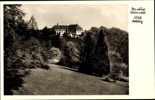 Ak Molsberg im Westerwald, Schloss