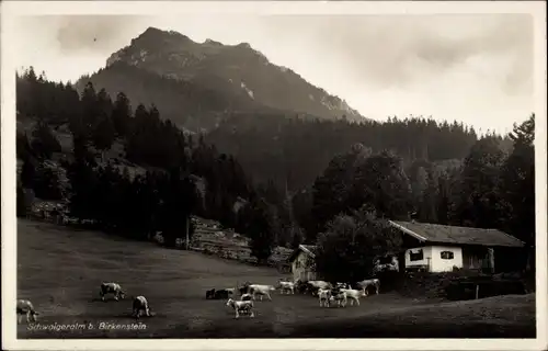 Ak Birkenstein Fischbachau in Oberbayern, Schwaigeralm