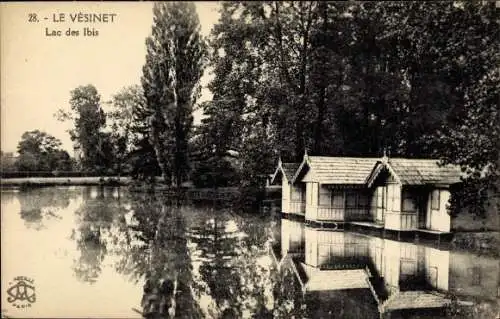 Ak Le Vésinet Yvelines, Lac des Ibis
