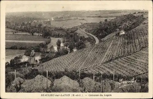 Ak Beaulieu sur Layon Maine-et-Loire, Coteaux du Layon