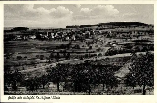 Ak Holzfeld Boppard am Rhein, Gesamtansicht